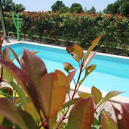 Apartments Green Garden Labinci Екстер'єр фото